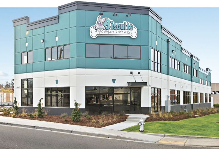 Courtesy of Biscuits Doggy Daycare