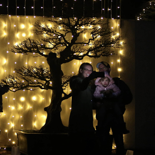 This Week in A&E: Harbor Winds Ensemble's Next Chapter, Garden Poetry, and Winter Bonsai
